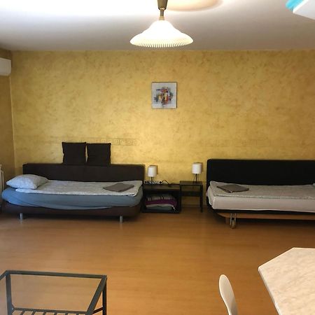 Large Apartment With Garage And Terrace ブダペスト エクステリア 写真
